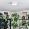 Falor Deckenleuchte LED Weiß, 1-flammig