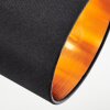 Alsen Deckenleuchte Schwarz, 2-flammig