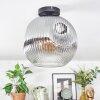 Ripoll Deckenleuchte Glas 30 cm Klar, Rauchfarben, 1-flammig