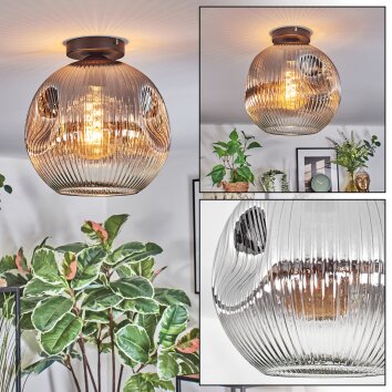 Ripoll Deckenleuchte Glas 30 cm Klar, Rauchfarben, 1-flammig