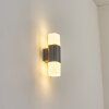 Felor Außenwandleuchte LED Anthrazit, 2-flammig