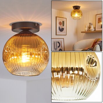 Ripoll Deckenleuchte Glas 20 cm Gold, Klar, 1-flammig