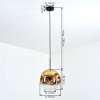 Ripoll Hängeleuchte Glas 30 cm Gold, Klar, 1-flammig