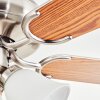 Stelo Deckenventilator mit Beleuchtung Naturfarben, Nickel-Matt, Silber, 3-flammig