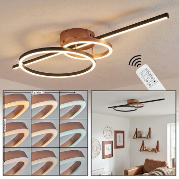 Goren Deckenleuchte LED Kupferfarben, Schwarz, 1-flammig