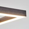 Hyacinthe Deckenleuchte LED Schwarz, 1-flammig
