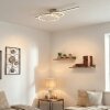 Goren Deckenleuchte LED Nickel-Matt, 1-flammig