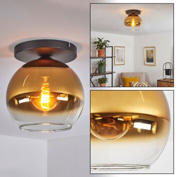 Koyoto Deckenleuchte Glas 25 cm Gold, Klar, 1-flammig
