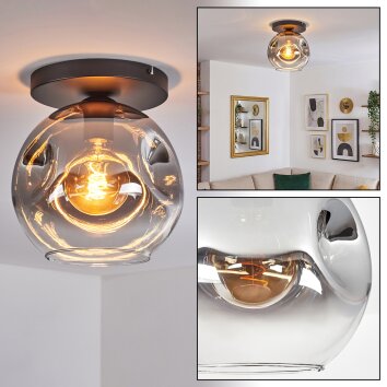 Ripoll Deckenleuchte Glas 25 cm Klar, Rauchfarben, 1-flammig