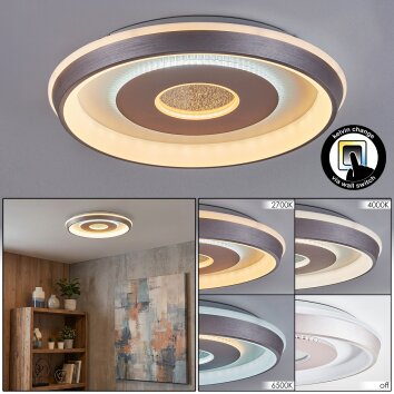 Dakon Deckenleuchte LED Champagnerfarben, Weiß, 1-flammig