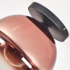 Koyoto Deckenleuchte Glas 30 cm Klar, Kupferfarben, 1-flammig