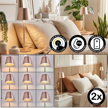 Salgadinho Tischleuchte 2-er Set LED Champagnerfarben, 1-flammig