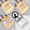 Molten Hängeleuchte LED Nickel-Matt, 1-flammig