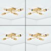 Bogno Deckenleuchte Messing, 4-flammig