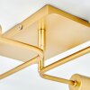 Bogno Deckenleuchte Messing, 4-flammig