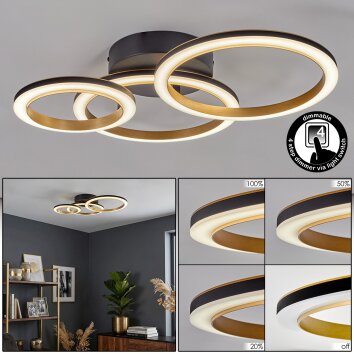 Tulor Deckenleuchte LED Schwarz, 1-flammig