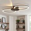 Koman Deckenleuchte LED Schwarz, 1-flammig
