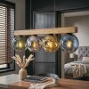 Ripoll Hängeleuchte Glas 15 cm Naturfarben, Schwarz, 4-flammig