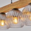 Ripoll Hängeleuchte Glas 15 cm Naturfarben, Schwarz, 5-flammig