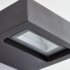 AEG Glynn Außenwandleuchte LED Anthrazit, 1-flammig