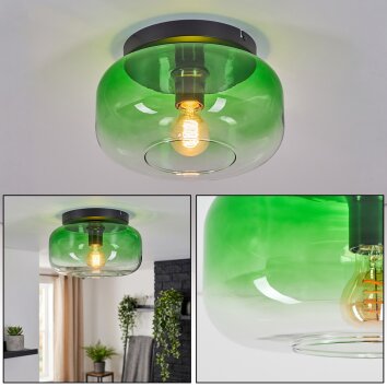 Boza Glas Deckenleuchte mit grünem Farbverlauf, runder Glasschirm Ø 28 cm
