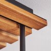 Cluster-Deckenleuchte Gastor mit Holzlamellenplatte und 4 Glaskugeln ø 15 cm