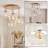 Moderne Cluster-Deckenleuchte Ripoll mit 4 klaren Glasschirmen, Gestell sandfarben