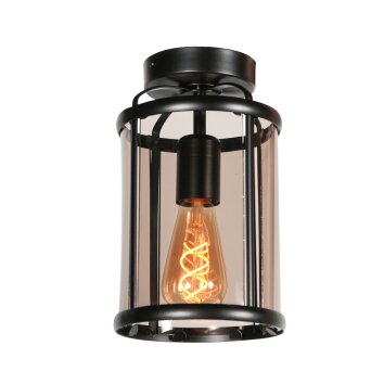 Steinhauer Pimpernel Käfig-Deckenleuchte mit Rauchglas, E27, Ø 16 cm, IP20