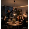 Globo Maxy Glaskugel-Hängeleuchte, modern, für Esszimmer und Wohnzimmer, 40 cm, extern dimmbar