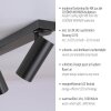 Schöner Wohnen-Kollektion RIK 3-flammiger Deckenstrahler mit drehbaren Metallspots