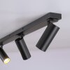 Schöner Wohnen-Kollektion RIK 3-flammiger Deckenstrahler mit drehbaren Metallspots