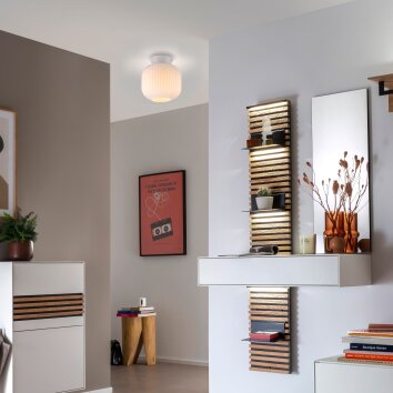 SCHÖNER WOHNEN-Kollektion NAMI Wand- und Deckenleuchte mit weißem Glasschirm E27
