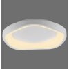 SCHÖNER WOHNEN-Kollektion MONTA halbrunde LED Deckenleuchte 3000K 2870 lm 21W