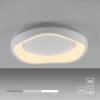 SCHÖNER WOHNEN-Kollektion MONTA halbrunde LED Deckenleuchte 3000K 2870 lm 21W