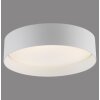 SCHÖNER WOHNEN-Kollektion TAVOLI LED Deckenlampe mit Fernbedienung, 2700-6500 K, 1400 lm, 10 W