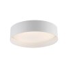 SCHÖNER WOHNEN-Kollektion TAVOLI LED Deckenlampe mit Fernbedienung, 2700-6500 K, 1400 lm, 10 W
