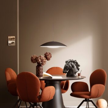 Schöner Wohnen-Kollektion LENTE halbrunde LED Pendelleuchte Esstisch 3000 K 2400 lm