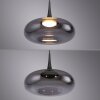 SCHÖNER WOHNEN-Kollektion POSH LED Pendelleuchte mit rauchfarbenem Glasschirm, Länge 22 cm
