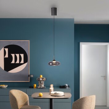 SCHÖNER WOHNEN-Kollektion POSH LED Pendelleuchte mit rauchfarbenem Glasschirm, Länge 22 cm