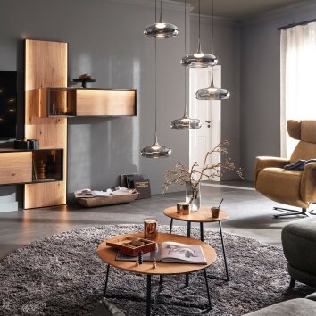 SCHÖNER WOHNEN-Kollektion POSH LED Esstisch-Pendelleuchte 5-flammig mit Rauchglas