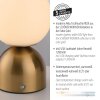 SCHÖNER WOHNEN-Kollektion RUDI LED goldfarbene Kugel-Tischleuchte, Tischlampe mit Touchdimmer