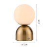 SCHÖNER WOHNEN-Kollektion RUDI LED goldfarbene Kugel-Tischleuchte, Tischlampe mit Touchdimmer