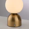 SCHÖNER WOHNEN-Kollektion RUDI LED goldfarbene Kugel-Tischleuchte, Tischlampe mit Touchdimmer