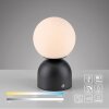 Schöner Wohnen-Kollektion RUDI LED Kugel-Tischleuchte mit mattweißem Glasschirm