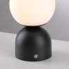 Schöner Wohnen-Kollektion RUDI LED Kugel-Tischleuchte mit mattweißem Glasschirm