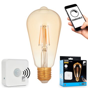 LED Leuchtmittel E27 mit Filamentstäben, 2200 Kelvin warmweiß, 500 Lumen, dimmbar