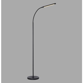 Paul Neuhaus Bogen-Stehlampe ELLY, verstellbar, Lichtfarbe einstellbar 2700-5000 Kelvin