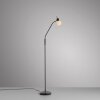 Leuchten Direkt Stehlampe LOKI, flexibler Bogenarm, verstellbar, 3000 Kelvin warmweiß
