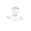 Reality LED Deckenventilator Moss, Lichtfarbe einstellbar 2700-6500 Kelvin