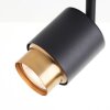 Brilliant Deckenspot Covelo, 3 schwenkbare Köpfe, goldene Ringe, 3000 Kelvin warmweiß